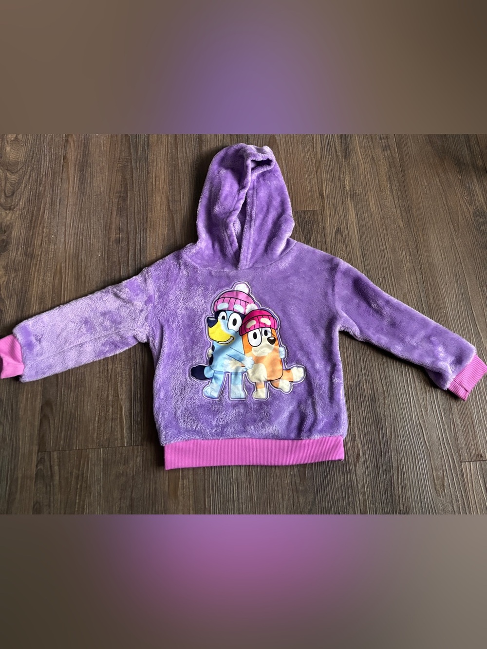 Kids Bluey purple and pink hoodie size 2T